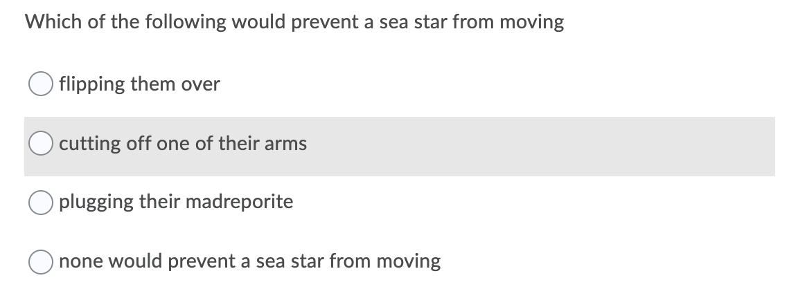 Which of the following would prevent a sea star from moving
flipping them over
cutting off one of their arms
O plugging their madreporite
O none would prevent a sea star from moving
