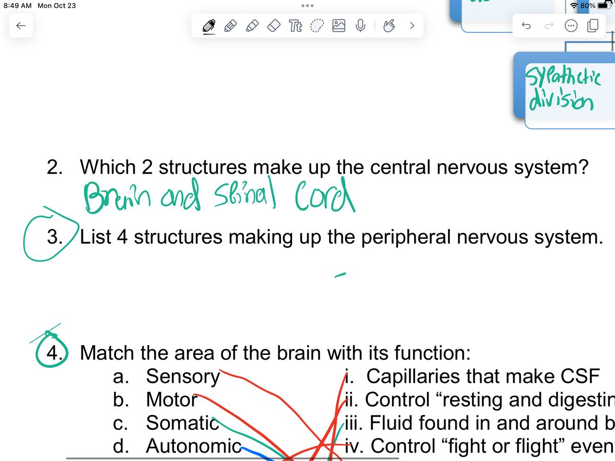 8:49 AM Mon Oct 23
个
●●●
a. Sensory
b. Motor
c. Somatic
d.
Tt O
Autonomic
M>
4. Match the area of the brain with its function:
J
2. Which 2 structures make up the central nervous system?
Brain and Spinal Cord
3. List 4 structures making up the peripheral nervous system.
80%
Sypathetic
division
i. Capillaries that make CSF
i. Control "resting and digestin
iii. Fluid found in and around b
iv. Control "fight or flight" even