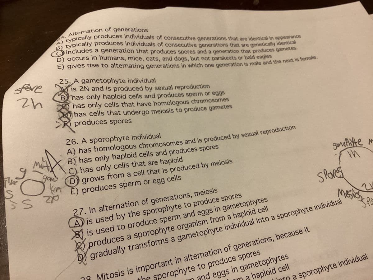 fore
zh
ماری
g
The
s S
24. Alternation of generations
A) typically produces individuals of consecutive generations that are identical in appearance
B) typically produces individuals of consecutive generations that are genetically identical
includes a generation that produces spores and a generation that produces gametes.
D) occurs in humans, mice, cats, and dogs, but not parakeets or bald eagles
E) gives rise to alternating generations in which one generation is male and the next is female.
дом
A
On
努
25. A gametophyte individual
is 2N and is produced by sexual reproduction
B has only haploid cells and produces sperm or eggs
has only cells that have homologous chromosomes
has cells that undergo meiosis to produce gametes
produces spores
FOA
20
26. A sporophyte individual
A) has homologous chromosomes and is produced by sexual reproduction
B) has only haploid cells and produces spores
C) has only cells that are haploid
D) grows from a cell that is produced by meiosis
E) produces sperm or egg cells
28
7 Mitosis is important in alternation of generations, because it
the sporophyte to produce spores
gamellyte
in
27. In alternation of generations, meiosis
A) is used by the sporophyte to produce spores
Bis used to produce sperm and eggs in gametophytes
produces a sporophyte organism from a haploid cell
D) gradually transforms a gametophyte individual into a sporophyte individual
m and eggs in gametophytes
a haploid cell
Spores
M
mosios po
into a sporophyte individual