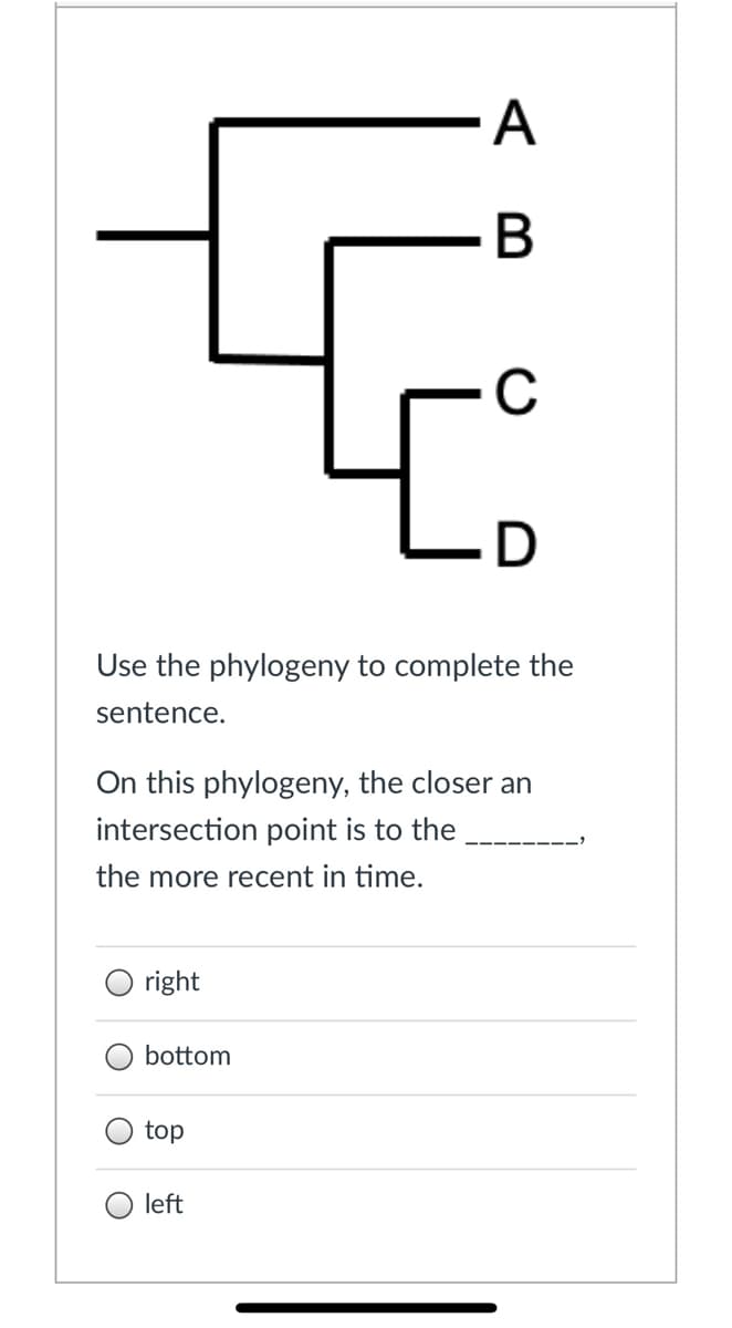 A
C
Lo
Use the phylogeny to complete the
sentence.
On this phylogeny, the closer an
intersection point is to the
the more recent in time.
right
bottom
top
left
