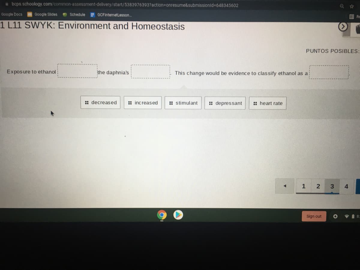 abcps.schoology.com/common-assessment-delivery/start/5383976393?action%=Donresume&submissionld%-648345602
Google Docs
Google Slides
Schedule = GCFInternetLesson..
国Re
1 L11 SWYK: Environment and Homeostasis
PUNTOS POSIBLES:
Exposure to ethanol
the daphnia's
This change would be evidence to classify ethanol as a
:: decreased
:: increased
: stimulant
: depressant
:: heart rate
1
3
4.
Sign out
マ自8:
