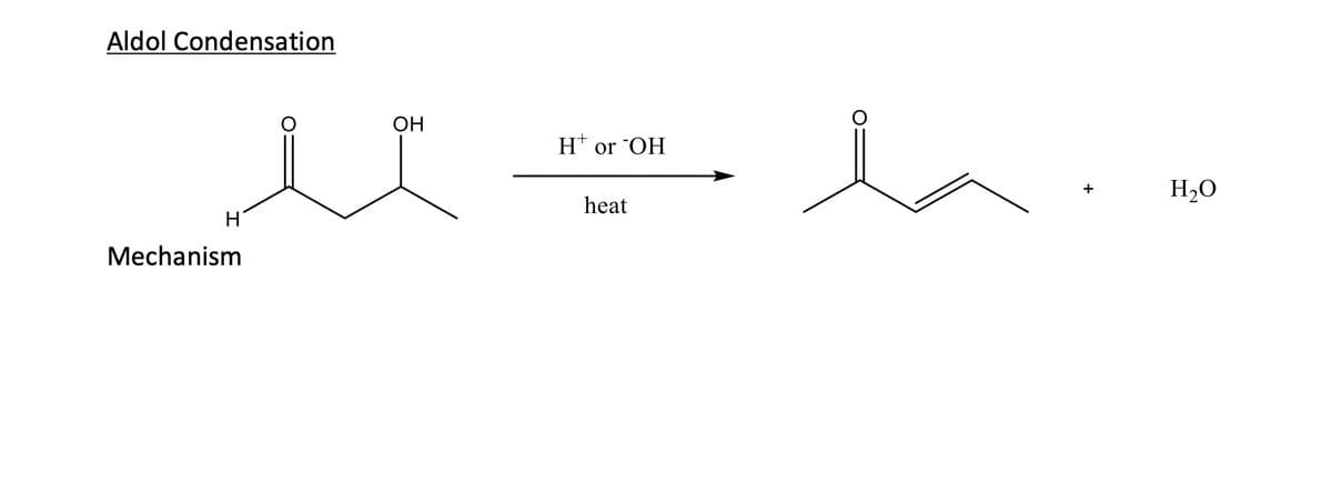 Aldol Condensation
H
Mechanism
OH
H+ or OH
heat
H2O
