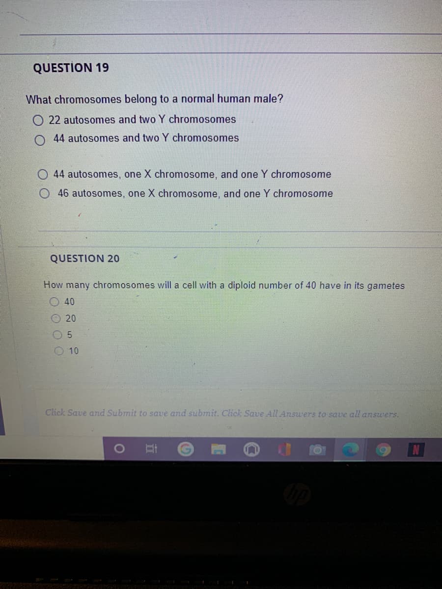 QUESTION 19
What chromosomes belong to a normal human male?
O 22 autosomes and two Y chromosomes
44 autosomes and two Y chromosomes
44 autosomes, one X chromosome, and one Y chromosome
46 autosomes, one X chromosome, and one Y chromosome
QUESTION 20
How many chromosomes will a cell with a diploid number of 40 have in its gametes
O 40
O 20
O 5
O 10
Click Save and Submit to save and submit. Click Save All Answers to save all answers.
