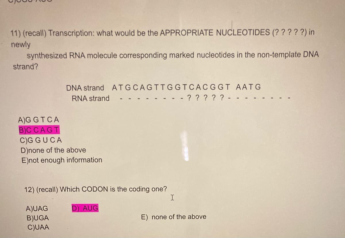 11) (recall) Transcription: what would be the APPROPRIATE NUCLEOTIDES (???? ?) in
newly
synthesized RNA molecule corresponding marked nucleotides in the non-template DNA
strand?
DNA strand ATGCAGTTGGTCACG GT AATG
? ? ? ? ? - -
RNA strand
A)G GTCA
B)C CAGT
C)G GUCA
D)none of the above
E)not enough information
12) (recall) Which CODON is the coding one?
A)UAG
B)UGA
C)UAA
D) AUG
E) none of the above
