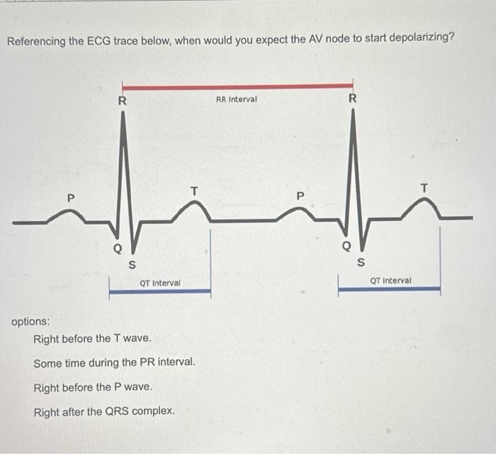Referencing the ECG trace below, when would you expect the AV node to start depolarizing?
options:
P
R
Q
S
QT Interval
T
Right before the T wave.
Some time during the PR interval.
Right before the P wave.
Right after the QRS complex.
RR Interval
P
R
S
QT Interval
T