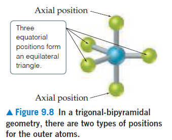 Axial position
Three
equatorial
positions form
an equilateral
triangle.
Axial position
A Figure 9.8 In a trigonal-bipyramidal
geometry, there are two types of positions
for the outer atoms.
