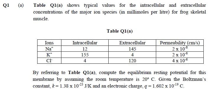 (a)
Table Q1(a) shows typical values for the intracellular and extracellular
concentrations of the major ion species (in millimoles per litre) for frog skeletal
Q1
muscle.
Table Q1(a)
Permeability (cm/s)
2 x 10-8
2 x 106
4 x 10-6
Ions
Intracellular
Extracellular
Na*
12
145
K*
155
4
4
120
By referring to Table Q1(a), compute the equilibrium resting potential for this
membrane by assuming the room temperature is 20° C. Given the Boltzman's
constant, k= 1.38 x 1023 J/K and an electronic charge, q = 1.602 x 1019 C.
