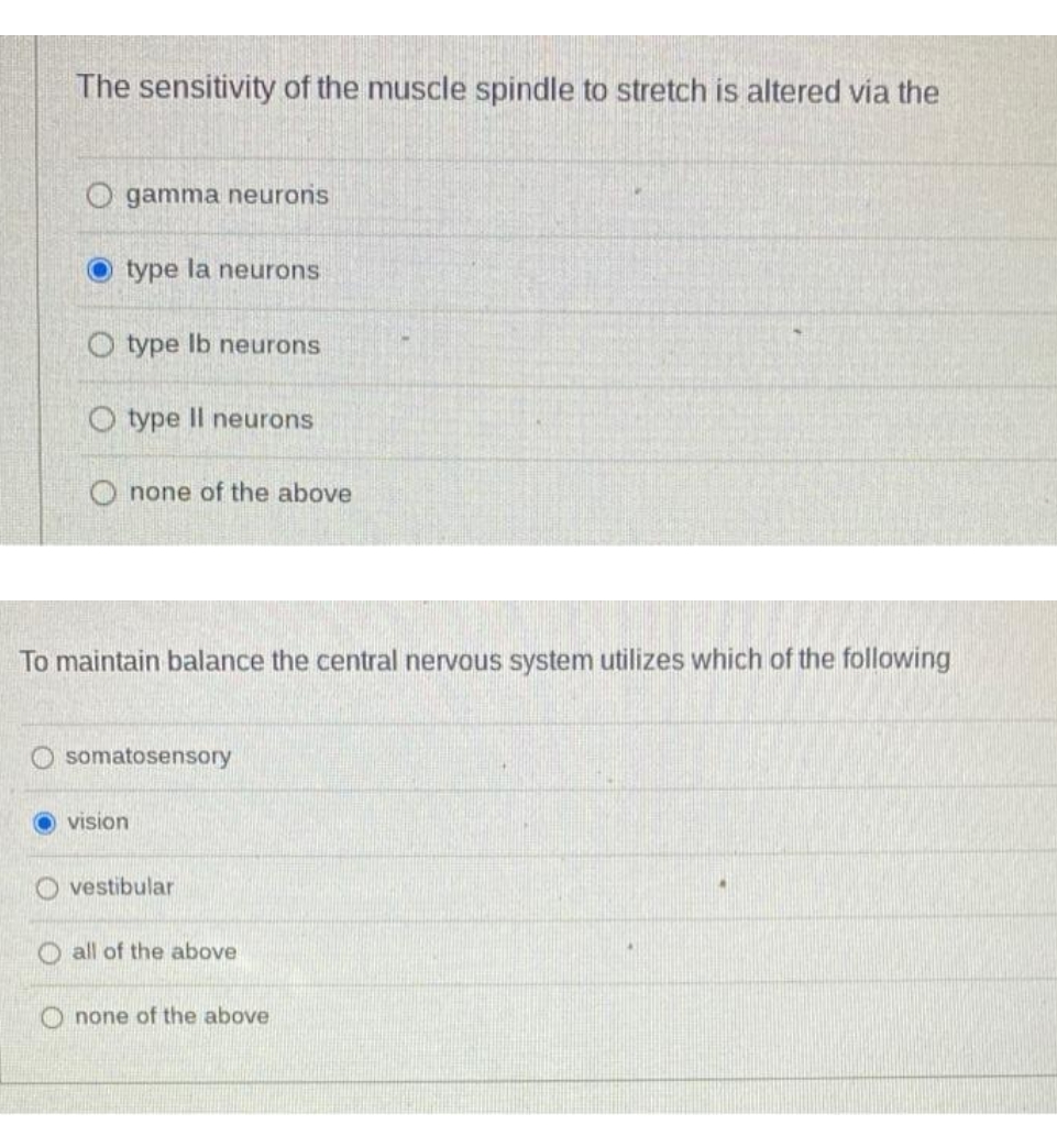 The sensitivity of the muscle spindle to stretch is altered via the
gamma neurons
Otype la neurons
O type Ib neurons
O type Il neurons
O none of the above
To maintain balance the central nervous system utilizes which of the following
somatosensory
vision
O vestibular
all of the above
O none of the above
