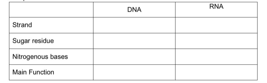 RNA
DNA
Strand
Sugar residue
Nitrogenous bases
Main Function
