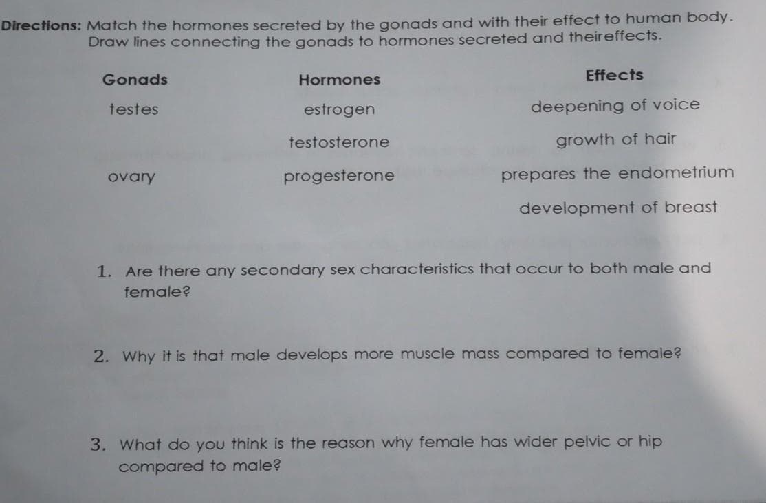 Directions: Match the hormones secreted by the gongds and with their effect to human body.
Draw lines connecting the gonads to hormones secreted and theireffects.
Gonads
Hormones
Effects
testes
estrogen
deepening of voice
testosterone
growth of hair
ovary
progesterone
prepares the endometrium
development of breast
1. Are there any secondary sex characteristics that occur to both male and
female?
2. Why it is that male develops more muscle mass compared to female?
3. What do you think is the reason why female has wider pelvic or hip
compared to male?
