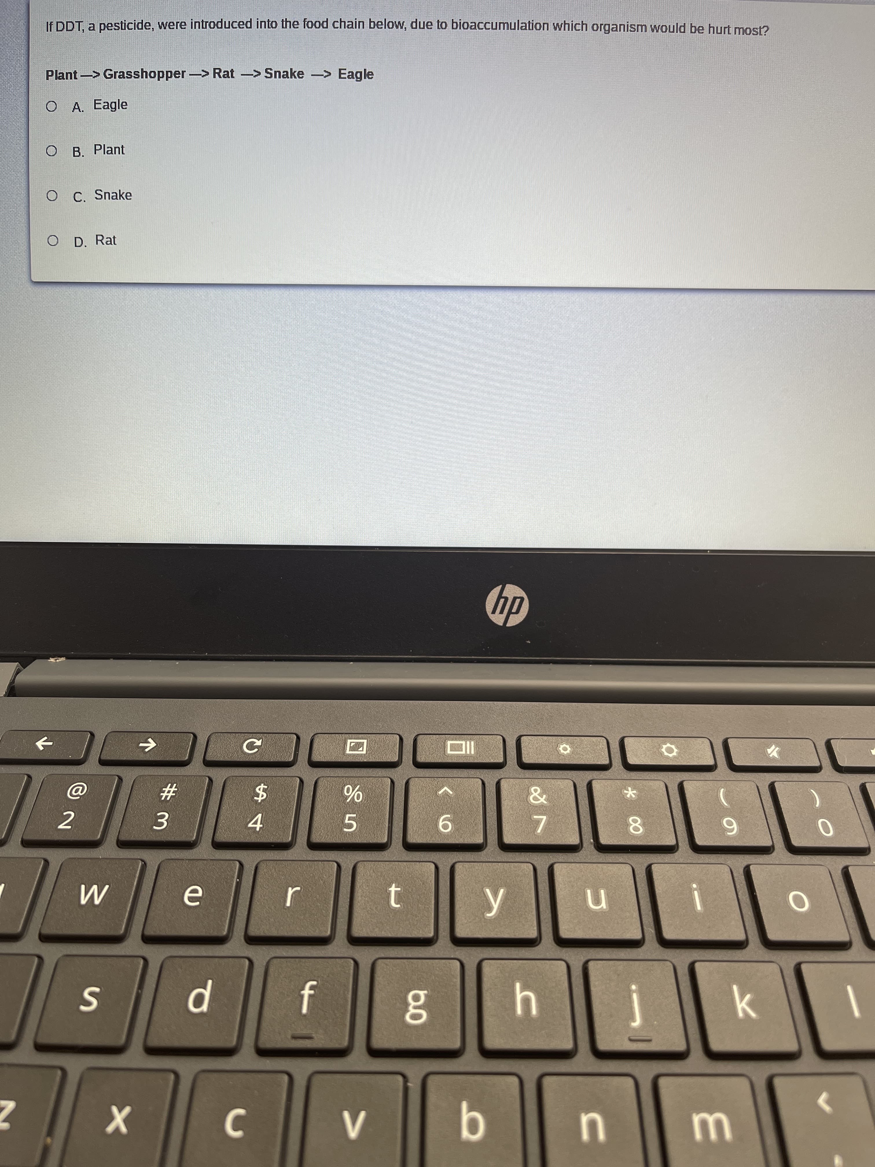 If DDT, a pesticide, were introduced into the food chain below, due to bioaccumulation which organism would be hurt most?
Plant-> Grasshopper-> Rat -> Snake > Eagle
O A. Eagle
B. Plant
C. Snake
O D. Rat
