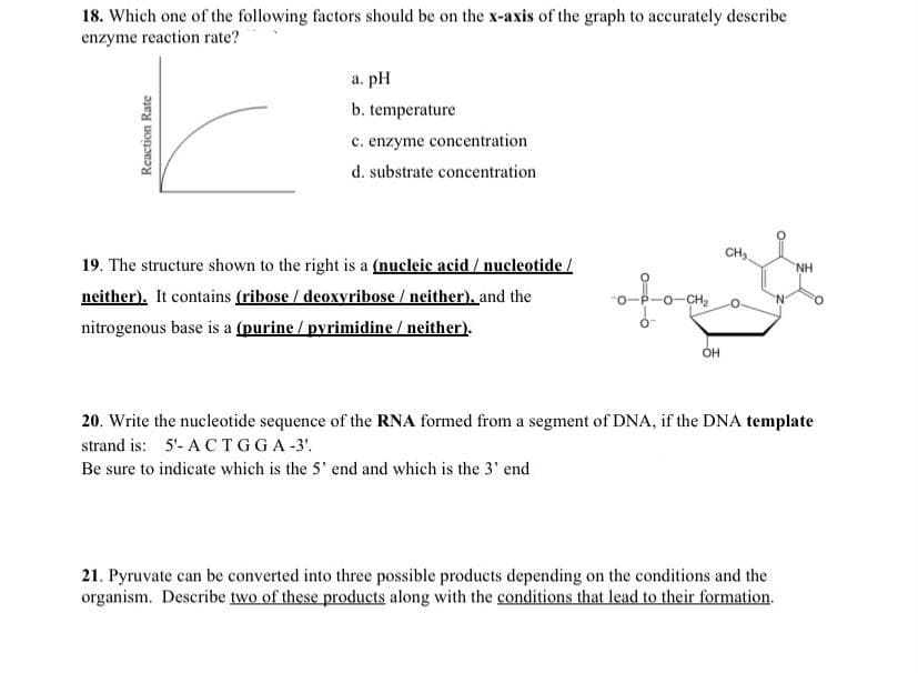 18. Which one of the following factors should be on the x-axis of the graph to accurately describe
enzyme reaction rate?
а. pH
b. temperature
c. enzyme concentration
d. substrate concentration
CH,
19. The structure shown to the right is a (nucleic acid / nucleotide
NH
neither). It contains (ribose / deoxyribose / neither), and the
nitrogenous base is a (purine / pyrimidine / neither).
-o-CH2
ÓH
20. Write the nucleotide sequence of the RNA formed from a segment of DNA, if the DNA template
strand is: 5'- A CTGGA-3'.
Be sure to indicate which is the 5' end and which is the 3' end
21. Pyruvate can be converted into three possible products depending on the conditions and the
organism. Describe two of these products along with the conditions that lead to their formation.
Reaction Rate
