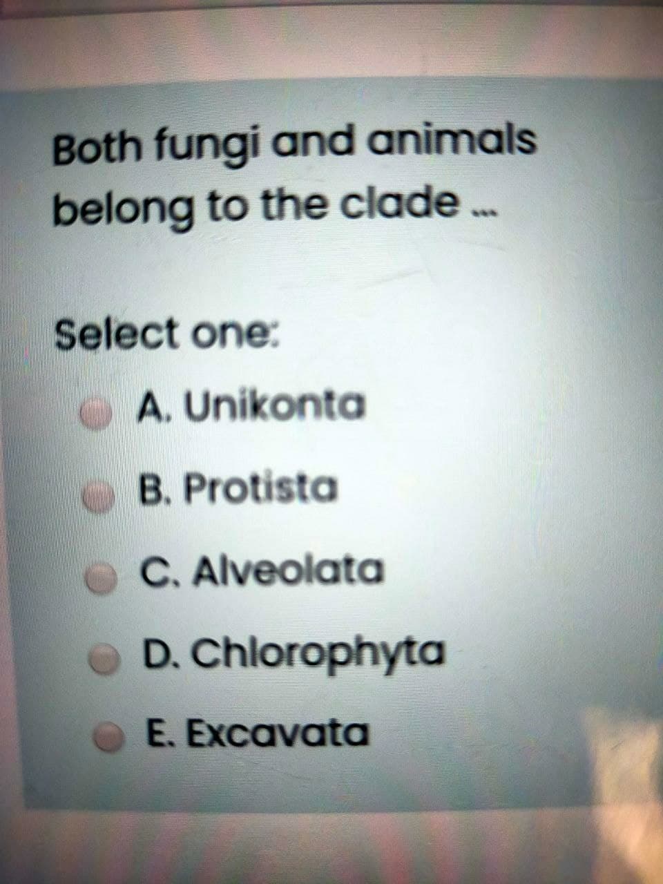 Both fungi and animals
belong to the clade .
Select one:
A. Unikonta
B. Protista
C. Alveolata
D. Chlorophyta
E. Excavata
