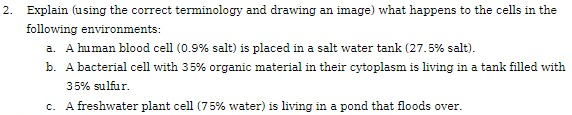 2. Explain (using the correct terminology and drawing an image) what happens to the cells in the
following environments:
a. A human blood cell (0.9% salt) is placed in a salt water tank (27.5% salt).
b. A bacterial cell with 35% organic material in their cytoplasm is living in a tank filled with
35% sulfur.
c. A freshwater plant cell (75% water) is living in a pond that floods over.