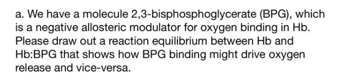 a. We have a molecule 2,3-bisphosphoglycerate (BPG), which
is a negative allosteric modulator for oxygen binding in Hb.
Please draw out a reaction equilibrium between Hb and
Hb:BPG that shows how BPG binding might drive oxygen
release and vice-versa.
