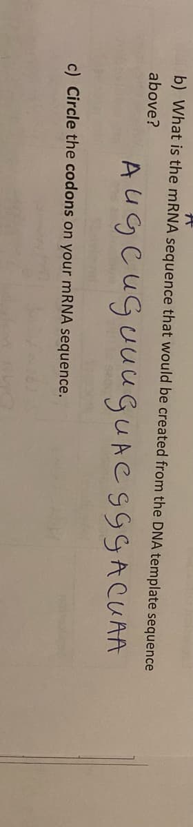 b) What is the mRNA sequence that would be created from the DNA template sequence
above?
AUgcuguuuGUACS9GACUAA
c) Circle the codons on your mRNA sequence.
