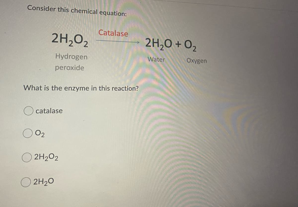 Consider this chemical equation:
Catalase
2H,02
2H,0 + O2
Hydrogen
Water
Oxygen
peroxide
What is the enzyme in this reaction?
O catalase
O2
O 2H2O2
2H20
