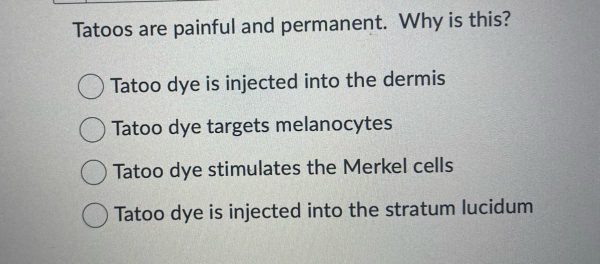 Tatoos are painful and permanent. Why is this?
Tatoo dye is injected into the dermis
Tatoo dye targets melanocytes
Tatoo dye stimulates the Merkel cells
Tatoo dye is injected into the stratum lucidum