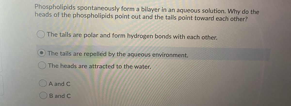 Phospholipids spontaneously form a bilayer in an aqueous solution. Why do the
heads of the phospholipids point out and the tails point toward each other?
The tails are polar and form hydrogen bonds with each other.
OThe tails are repelled by the aqueous environment.
The heads are attracted to the water.
A and C
B and C
