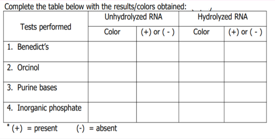 Complete the table below with the results/colors obtained:
Unhydrolyzed RNA
Hydrolyzed RNA
Tests performed
Color
(+) or ( - )
Color
(+) or ( - )
1. Benedict's
2. Orcinol
3. Purine bases
4. Inorganic phosphate
* (+) = present
(-)
= absent
%3D
