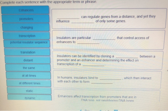 Complete each sentence with the appropriate term or phrase.
Enhancers
promoters
changing
transcription
potential insulator sequence
translation
distant
the same
at all times
at different times
static
dynamic
influence
can regulate genes from a distance, and yet they
of only some genes.
Insulators are particular
enhancers to
that control access of
Insulators can be identified by cloning a
promoter and an enhancer and determining the effect on
transcription of a
In humans, insulators bind to
with each other to form
1
www
Enhancers affect transcription from promoters that are in
DNA loon not neighboring DNA loons
between a
which then interact