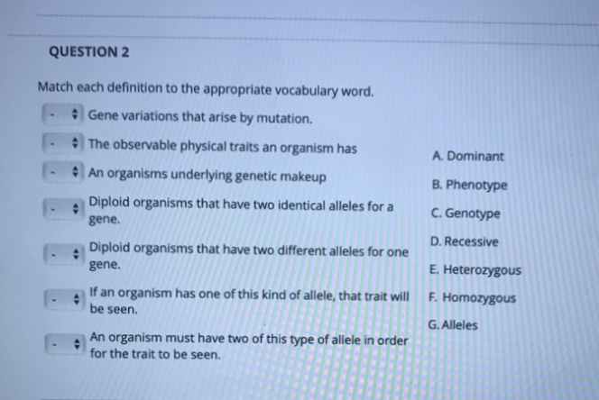 QUESTION 2
Match each definition to the appropriate vocabulary word.
Gene variations that arise by mutation.
The observable physical traits an organism has
An organisms underlying genetic makeup
Diploid organisms that have two identical alleles for a
gene.
Diploid organisms that have two different alleles for one
gene.
If an organism has one of this kind of allele, that trait will
be seen.
An organism must have two of this type of allele in order
for the trait to be seen.
A. Dominant
B. Phenotype
C. Genotype
D. Recessive
E. Heterozygous
F. Homozygous
G. Alleles