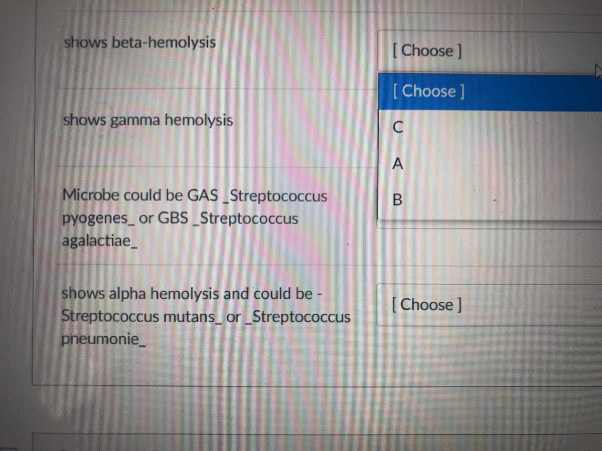 shows beta-hemolysis
[Choose]
[ Choose ]
shows gamma hemolysis
Microbe could be GAS _Streptococcus
pyogenes_ or GBS _Streptococcus
agalactiae_
shows alpha hemolysis and could be -
Streptococcus mutans_ or_Streptococcus
pneumonie_
[ Choose ]
