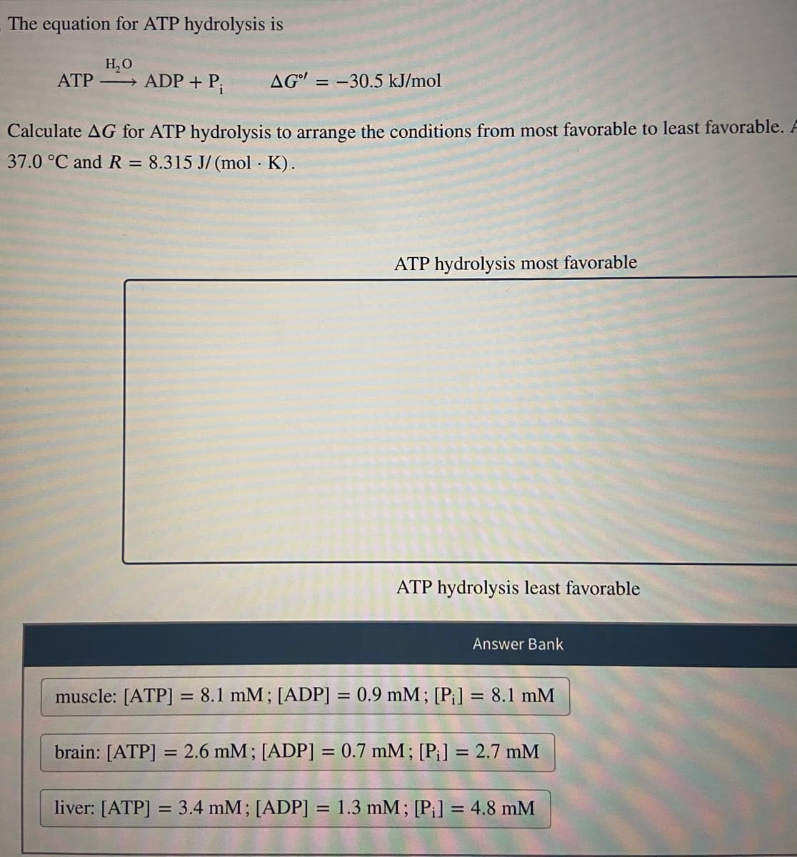 The equation for ATP hydrolysis is
H₂O
ATP→ ADP + P₁
AG"=-30.5 kJ/mol
Calculate AG for ATP hydrolysis to arrange the conditions from most favorable to least favorable. A
37.0 °C and R = 8.315 J/(mol K).
.
ATP hydrolysis most favorable
ATP hydrolysis least favorable
Answer Bank
muscle: [ATP] = 8.1 mM; [ADP] = 0.9 mM; [Pi] = 8.1 mM
brain: [ATP] = 2.6 mM; [ADP] = 0.7 mM; [Pi] = 2.7 mM
liver: [ATP] = 3.4 mM; [ADP] = 1.3 mM; [Pi] = 4.8 mM