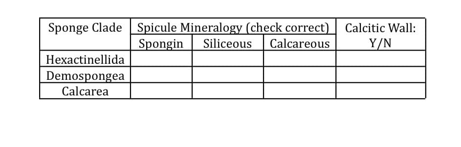 Sponge Clade Spicule Mineralogy (check correct) Calcitic Wall:
Spongin Siliceous Calcareous
Y/N
Hexactinellida
Demospongea
Calcarea
