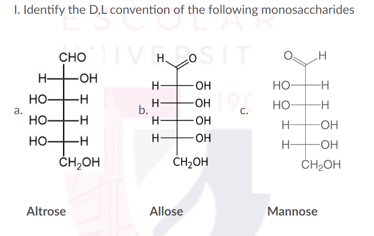 I. Identify the D,L convention of the following monosaccharides
CHOV HOSIT
OH
H-
OH
-OH 190
C.
-OH
-OH
CH₂OH
a.
-H
I
HO-
HO-
HO-
Altrose
II
I
-H
CH₂OH
b.
I I
H
H-
I I
H-
Allose
HO-
HO-
H-
-H
I
H
-H
-H
-OH
-OH
CH₂OH
Mannose