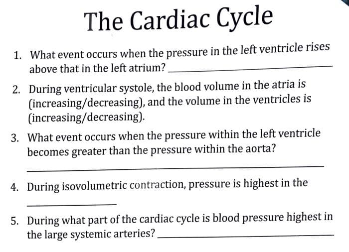 The Cardiac Cycle
1. What event occurs when the pressure in the left ventricle rises
above that in the left atrium?
2. During ventricular systole, the blood volume in the atria is
(increasing/decreasing), and the volume in the ventricles is
(increasing/decreasing).
3. What event occurs when the pressure within the left ventricle
becomes greater than the pressure within the aorta?
4. During isovolumetric contraction, pressure is highest in the
5. During what part of the cardiac cycle is blood pressure highest in
the large systemic arteries?