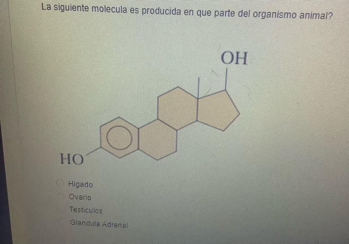 La siguiente molecula es producida en que parte del organismo animal?
HO
Higado
Ovario
Testiculos
Glandula Adrenal
OH