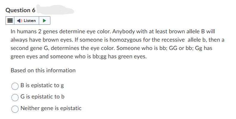 Question 6
Listen
In humans 2 genes determine eye color. Anybody with at least brown allele B will
always have brown eyes. If someone is homozygous for the recessive allele b, then a
second gene G, determines the eye color. Someone who is bb; GG or bb; Gg has
green eyes and someone who is bb;gg has green eyes.
Based on this information
B is epistatic to g
G is epistatic to b
Neither gene is epistatic