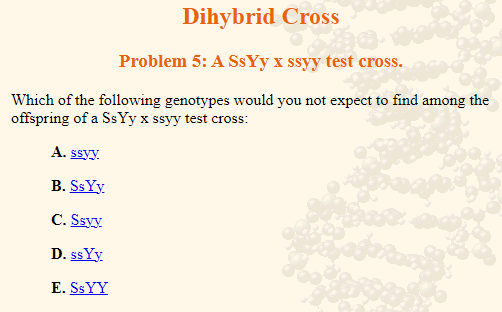 Dihybrid Cross
13
Problem 5: A SsYy x ssyy test cross.
Which of the following genotypes would you not expect to find among the
offspring of a SsYyxssyy test cross:
A. ssy.y.
B. SsYy.
C. Ssy
D. ss Yy
E. SSYY