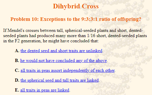 Dihybrid Cross
Problem 10: Exceptions to the 9:3:3:1 ratio of offspring?
If Mendel's crosses between tall, spherical-seeded plants and short, dented-
seeded plants had produced many more than 1/16 short, dented-seeded plants
in the F2 generation, he might have concluded that:
A. the dented seed and short traits are unlinked.
B. he would not have concluded any of the above.
C. all traits in peas assort independently of each other.
D. the spherical seed and tall traits are linked.
E. all traits in peas are linked.