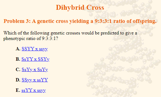 Dihybrid Cross
Problem 3: A genetic cross yielding a 9:3:3:1 ratio of offspring.
Which of the following genetic crosses would be predicted to give a
phenotypic ratio of 9:3:3:1?
A. SSYY x ssyy
B. SsYY x SSYy
C. SsYyx SsYy
D. SSyy x ss YY
E. SsYY x ssyy.