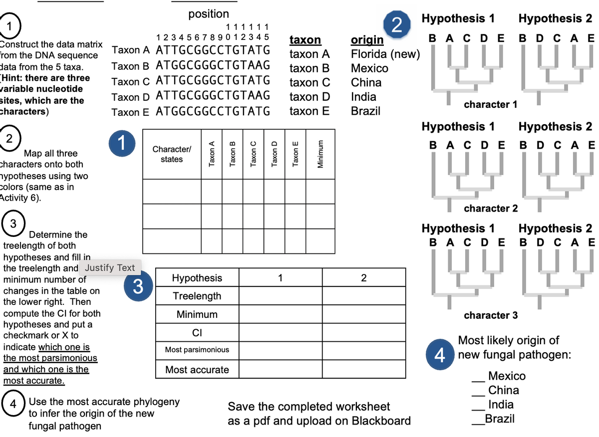 Construct the data matrix
From the DNA sequence
data from the 5 taxa.
(Hint: there are three
variable nucleotide
sites, which are the
characters)
Map all three
characters onto both
mypotheses using two
Colors (same as in
Activity 6).
3
position
111111
1 2 3 4 5 6 7 8 9 0 1 2 3 4 5
ATTGCGGCCTGTATG
Taxon A
Taxon B ATGGCGGGCTGTAAG
Taxon C ATTGCGGGCTGTATG
Taxon D ATTGCGGGCTGTAAG
Taxon E
ATGGCGGCCTGTATG
1
Determine the
treelength of both
hypotheses and fill in
3
the treelength and Justify Text
minimum number of
changes in the table on
the lower right. Then
compute the CI for both
hypotheses and put a
checkmark or X to
indicate which one is
the most parsimonious
and which one is the
most accurate.
4
Character/
states
Taxon A
Use the most accurate phylogeny
to infer the origin of the new
fungal pathogen
Taxon B
Hypothesis
Treelength
Minimum
CI
Most parsimonious
Most accurate
Taxon C
Taxon D
1
taxon
taxon A
taxon B
taxon C
taxon D
taxon E
Taxon E
Minimum
2
origin
Florida (new)
Mexico
China
India
Brazil
2
Save the completed worksheet
as a pdf and upload on Blackboard
Hypothesis 1
BAC D E
character 1
Hypothesis 1
BAC D E
Hypothesis 2
BD CA E
បុប្ផ
character 2
Hypothesis 2
BD CA E
Hypothesis 1
Hypothesis 2
BAC DE BD CA E
!!
character 3
Most likely origin of
4 new fungal pathogen:
Mexico
China
India
Brazil