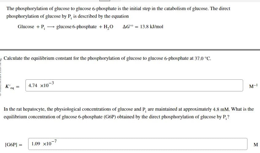 The phosphorylation of glucose to glucose 6-phosphate is the initial step in the catabolism of glucose. The direct
phosphorylation of glucose by P, is described by the equation
Glucose + P→→ glucose 6-phosphate + H₂O AG 13.8 kJ/mol
Calculate the equilibrium constant for the phosphorylation of glucose to glucose 6-phosphate at 37.0 °C.
K'ca
=
[G6P] =
4.74 x10-3
In the rat hepatocyte, the physiological concentrations of glucose and P, are maintained at approximately 4.8 mM. What is the
equilibrium concentration of glucose 6-phosphate (G6P) obtained by the direct phosphorylation of glucose by P,?
=
M-1
1.09 X10-7
M
