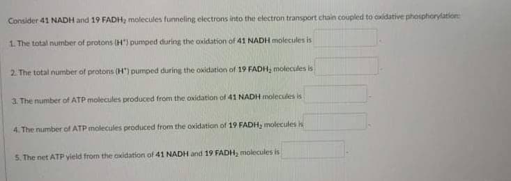 Consider 41 NADH and 19 FADH2 molecules funneling electrons into the electron transport chain coupled to oxldative phosphorylation
1. The total number of protons (H") pumped during the oxidation of 41 NADH molecules is
2. The total number of protons (H) pumped during the oxidation of 19 FADH, molecules is
3. The number of ATP molecules produced from the oxidation of 41 NADH molecules is
4. The number of ATP molecules produced from the oxidation of 19 FADH, molecules is
5. The net ATP yield from the oxidation of 41 NADH and 19 FADH, molecules is
