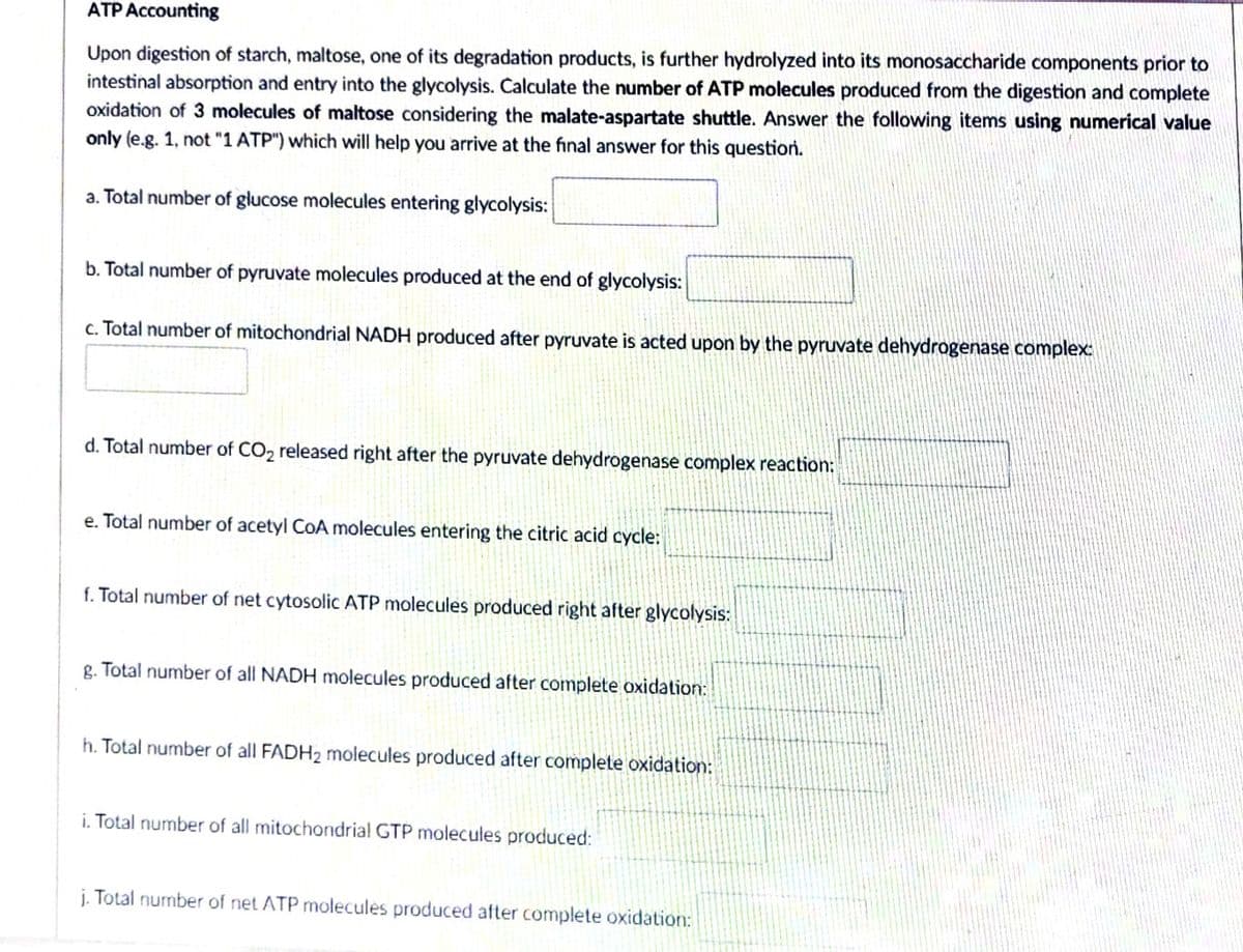 ATP Accounting
Upon digestion of starch, maltose, one of its degradation products, is further hydrolyzed into its monosaccharide components prior to
intestinal absorption and entry into the glycolysis. Calculate the number of ATP molecules produced from the digestion and complete
oxidation of 3 molecules of maltose considering the malate-aspartate shuttle. Answer the following items using numerical value
only (e.g. 1, not "1 ATP") which will help you arrive at the final answer for this question.
a. Total number of glucose molecules entering glycolysis:
b. Total number of pyruvate molecules produced at the end of glycolysis:
c. Total number of mitochondrial NADH produced after pyruvate is acted upon by the pyruvate dehydrogenase complex:
d. Total number of CO2 released right after the pyruvate dehydrogenase complex reaction:
e. Total number of acetyl CoA molecules entering the citric acid cycle:
f. Total number of net cytosolic ATP molecules produced right after glycolysis:
g. Total number of all NADH molecules produced after complete oxidation:
h. Total number of all FADH2 molecules produced after complete oxidation:
i. Total number of all mitochondrial GTP molecules produced:
j. Total number of net ATP molecules produced after complete oxidation:
