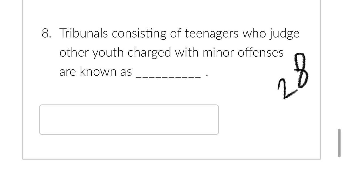 8. Tribunals consisting of teenagers who judge
other youth charged with minor offenses
are known as
28