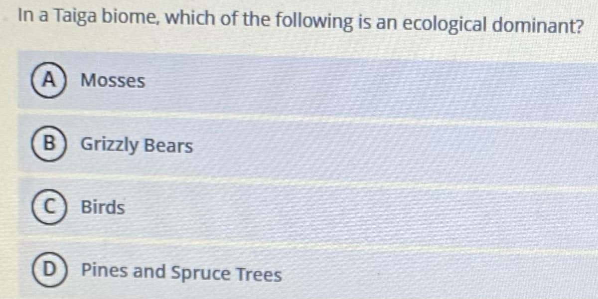 In a Taiga biome, which of the following is an ecological dominant?
A) Mosses
B) Grizzly Bears
C) Birds
D) Pines and Spruce Trees
