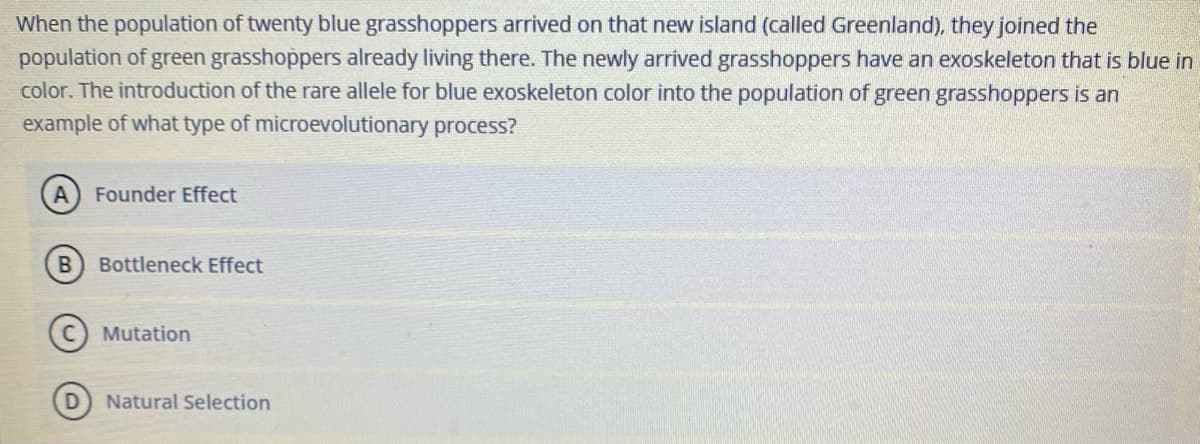 When the population of twenty blue grasshoppers arrived on that new island (called Greenland), they joined the
population of green grasshoppers already living there. The newly arrived grasshoppers have an exoskeleton that is blue in
color. The introduction of the rare allele for blue exoskeleton color into the population of green grasshoppers is an
example of what type of microevolutionary process?
A
Founder Effect
Bottleneck Effect
Mutation
Natural Selection
