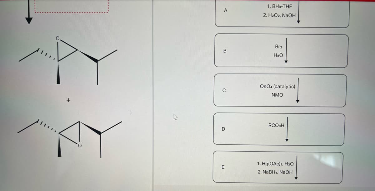 A
B
с
D
E
1. BH3-THF
2. H2O2, NaOH
Br2
H₂O
OsO4 (catalytic)
NMO
RCO3H
1. Hg(OAc)2, H2O
2. NaBH4, NaOH