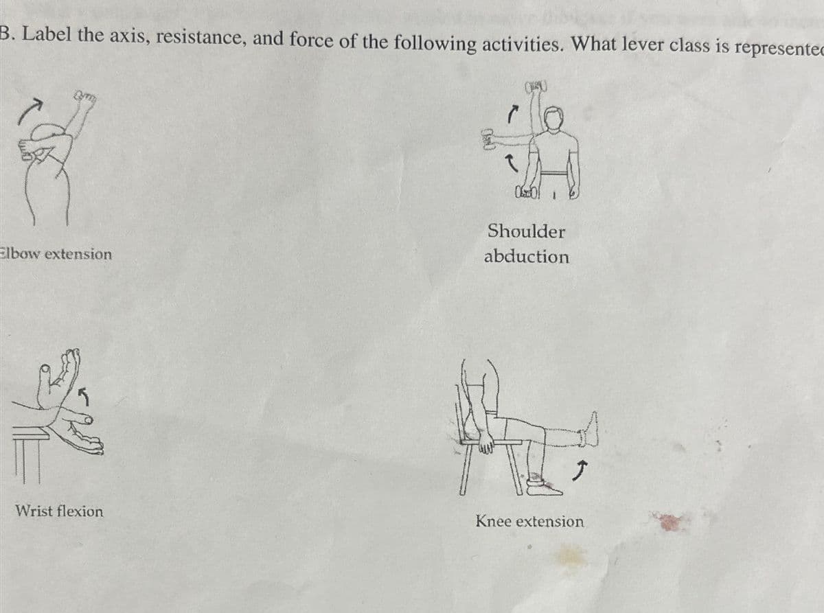 B. Label the axis, resistance, and force of the following activities. What lever class is represented
Elbow extension
5
Wrist flexion
(
Shoulder
abduction
1
Ĵ
Knee extension