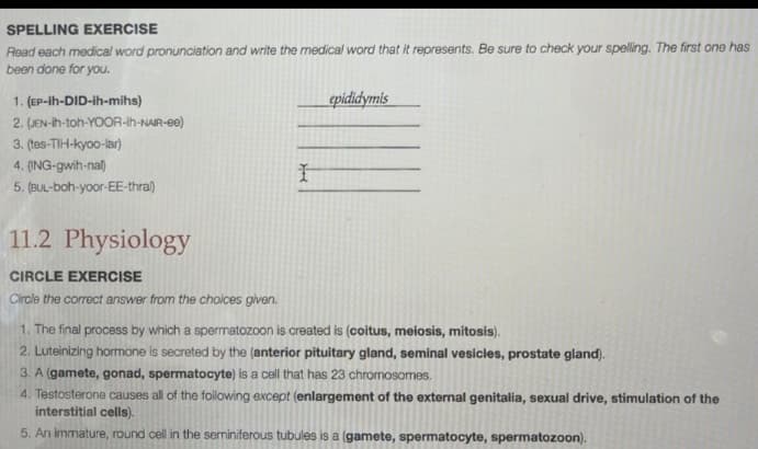 SPELLING EXERCISE
Read each medical word pronunciation and write the medical word that it represents. Be sure to check your spelling. The first one has
been done for you.
1. (EP-ih-DID-ih-mihs)
epididymis
2. (JEN-h-toh-YOOR-h-NAIR-ee)
3. (tes-TIH-kyoo-lar)
4. (ING-gwih-nal)
5. (BUL-boh-yoor-EE-thral)
11.2 Physiology
CIRCLE EXERCISE
Circle the correct answer from the choices given.
1. The final process by which a spermatozoon is created is (coitus, meiosis, mitosis).
2. Luteinizing hormone is secreted by the (anterior pituitary gland, seminal vesicles, prostate gland).
3. A (gamete, gonad, spermatocyte) is a cell that has 23 chromosomes.
4. Testosterone causes all of the following except (enlargement of the external genitalia, sexual drive, stimulation of the
interstitial cells).
5. An immature, round cell in the seminiferous tubules is a (gamete, spermatocyte, spermatozoon).
