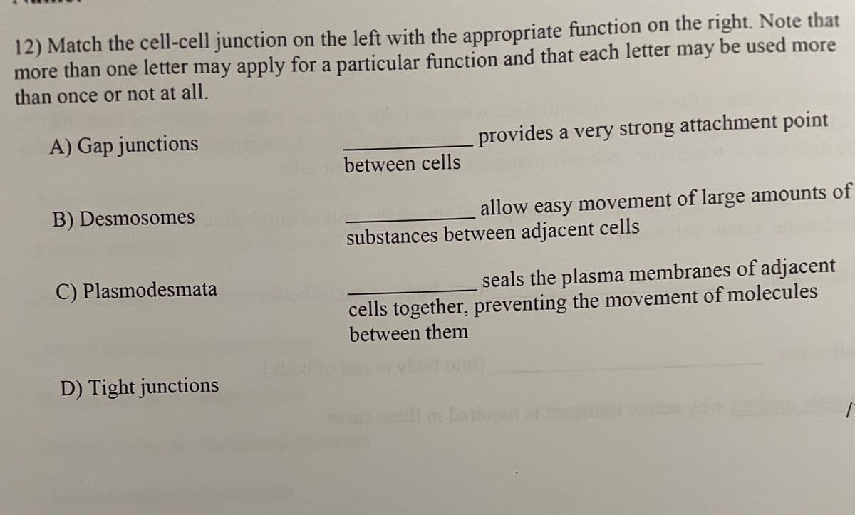 12) Match the cell-cell junction on the left with the appropriate function on the right. Note that
more than one letter may apply for a particular function and that each letter may be used more
than once or not at all.
A) Gap junctions
provides a very strong attachment point
between cells
B) Desmosomes
allow easy movement of large amounts of
substances between adjacent cells
C) Plasmodesmata
seals the plasma membranes of adjacent
cells together, preventing the movement of molecules
between them
D) Tight junctions
