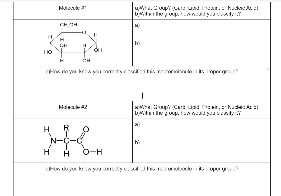 Molecule #1
a)What Group? (Carb, Lipid, Protein, or Nucleic Acid).
b)Within the group, how would you classify it?
CH,OH
a)
H
H
b)
OH
H
OH
Но
OH
c)How do you know you correctly classified this macromolecule in its proper group?
Molecule #2
a)What Group? (Carb, Lipid, Protein, or Nucleic Acid).
b)Within the group, how would you classify it?
HK.
a)
R
N-C-
b)
c)How do you know you correctly classified this macromolecule in its proper group?
