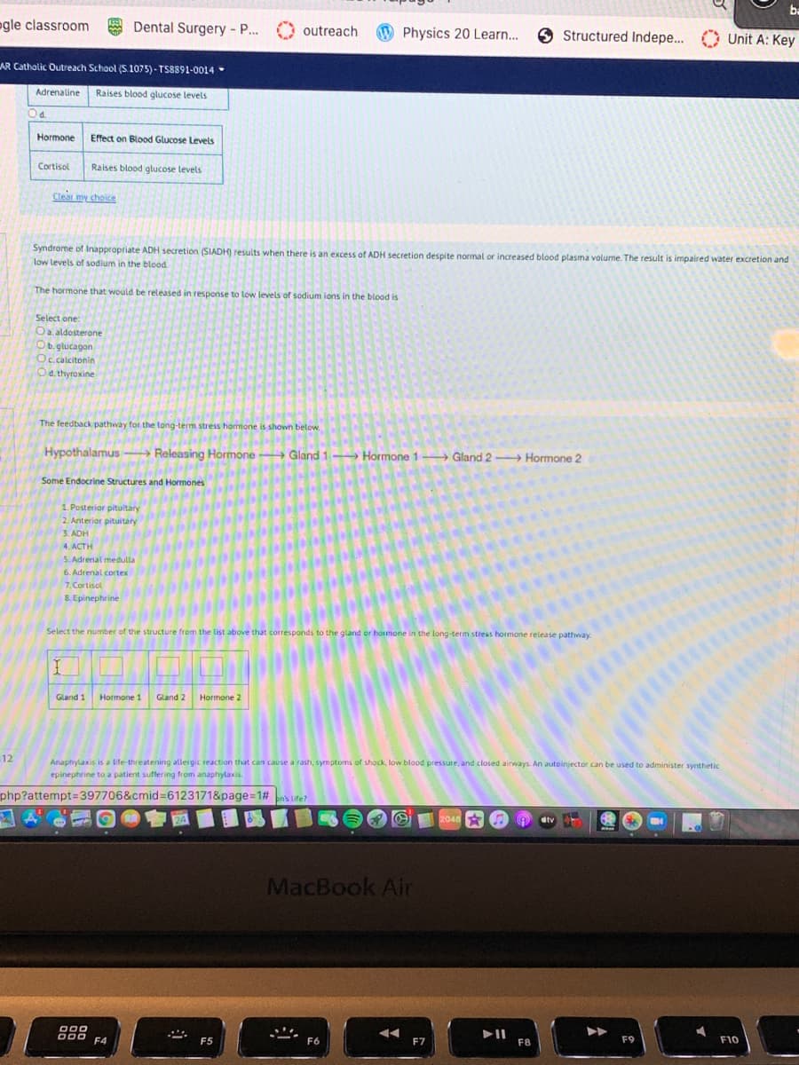 ba
ogle classroom
A Dental Surgery - P...
outreach
W Physics 20 Learn...
O Structured Indepe...
Unit A: Key
AR Cathalic Outreach School (S.1075) - TS8891-0014
Adrenaline Raises blood glucose levels
Hormone
Effect on Blood Glucose Levels
Cortisol
Raises blood glucose levels
Clear my choice
Syndrome of Inappropriate ADH secretion (SIADH) results when there is an excess of ADH secretion despite normal or increased blood plasma volume. The result is impaired water excretion and
low levels of sodium in the blood.
The hormone that would be released in response to low levels of sodium ions in the blood is
Select one:
Oa aldosterone
Ob. glucagon
Oc.calcitonin
Da thyroxine
The feedback pathway for the tong-term stress hormone is shown below.
Hypothalamus → Releasing Hormone - Gland 1- Hormone 1 → Gland 2 Hormone 2
Some Endocrine Structures and Hormones
1. Posteriar pituitary
2. Anterior pituitary
3. ADH
4. ACTH
5. Adrenal medulla
6. Adrenal cortex
7. Cortisol
8. Epinephrine
Select the number of the structure from the list above that correspands to the gland or hormone in the long-term stress hormone release pathway
Gland 1
Hormone 1
Gland 2
Hormone 2
12
Anaphylaxis is a life-threatening allergic reaction that can cause a rash, symptoms of shaock, low blood pressure, and closed airways. An autoinjector can be used to administer synthetic
epinephrine to a patient suffering from anaphylaxis.
php?attempt=397706&cmid%3D6123171&page=1# s ufe?
●會國
O 2048*
dtv
MacBook Air
000
ApO F4
II
F5
F6
F7
F8
F9
F10
