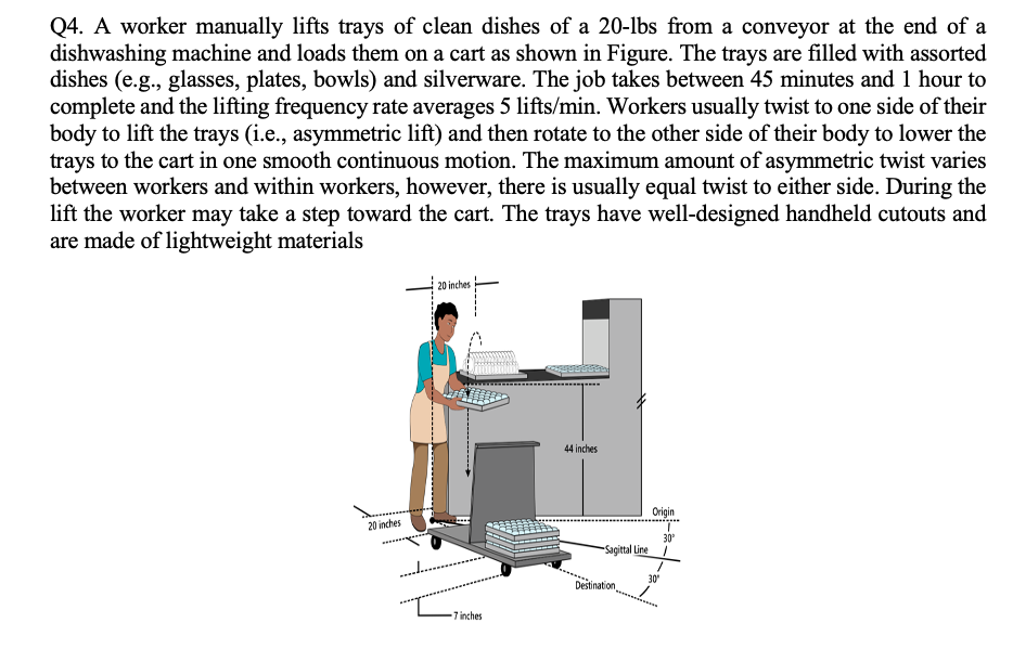 Q4. A worker manually lifts trays of clean dishes of a 20-lbs from a conveyor at the end of a
dishwashing machine and loads them on a cart as shown in Figure. The trays are filled with assorted
dishes (e.g., glasses, plates, bowls) and silverware. The job takes between 45 minutes and 1 hour to
complete and the lifting frequency rate averages 5 lifts/min. Workers usually twist to one side of their
body to lift the trays (i.e., asymmetric lift) and then rotate to the other side of their body to lower the
trays to the cart in one smooth continuous motion. The maximum amount of asymmetric twist varies
between workers and within workers, however, there is usually equal twist to either side. During the
lift the worker may take a step toward the cart. The trays have well-designed handheld cutouts and
are made of lightweight materials
20 inches
20 inches
7 inches
44 inches
Sagittal Line
Destination
Origin
30°
30°